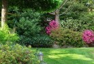 Alderleylandscape-gardener-46.jpg; ?>
